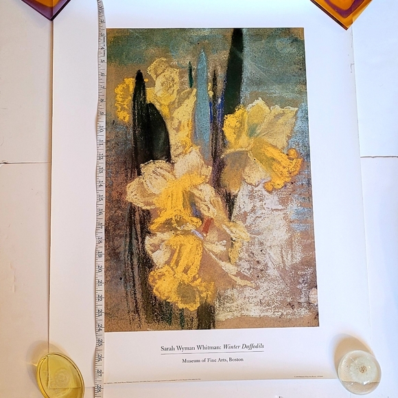 NWOT Winter Daffodils Print - Picture 5 of 7
